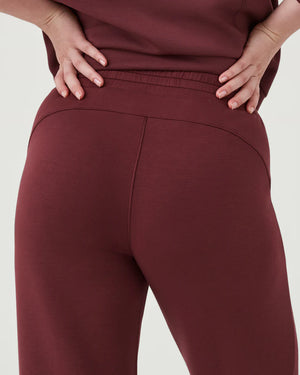 Air Essentials Wide Leg Pant-Spice