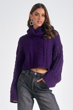 Turtleneck Cable Sweater-Dark Purple